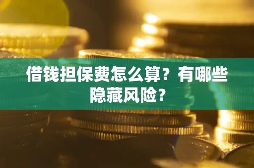 武汉借钱担保费怎么算？有哪些隐藏风险？