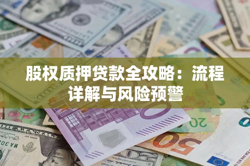 武汉股权质押贷款全攻略：流程详解与风险预警