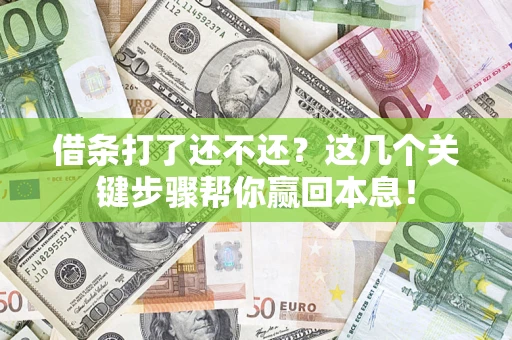 武汉借条打了还不还？这几个关键步骤帮你赢回本息！