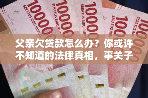 武汉父亲欠贷款怎么办？你或许不知道的法律真相，事关子女未来
