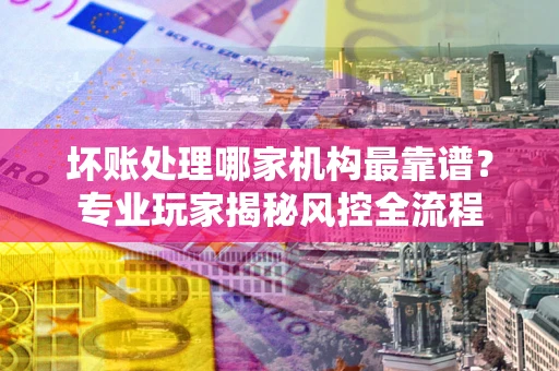 武汉坏账处理哪家机构最靠谱？专业玩家揭秘风控全流程