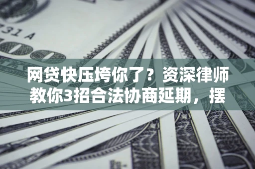 武汉网贷快压垮你了？资深律师教你3招合法协商延期，摆脱暴力催收！