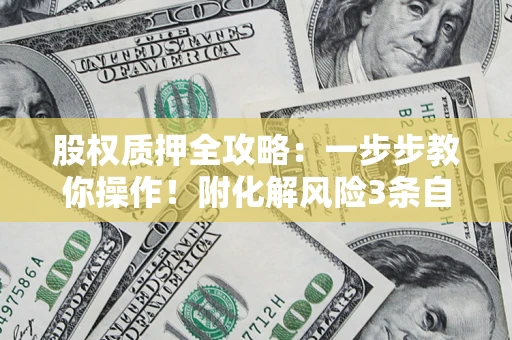 武汉股权质押全攻略：一步步教你操作！附化解风险3条自救法则