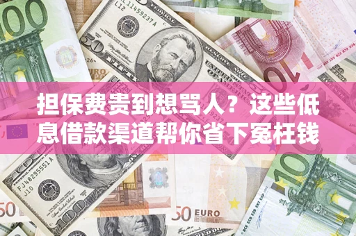 武汉担保费贵到想骂人？这些低息借款渠道帮你省下冤枉钱