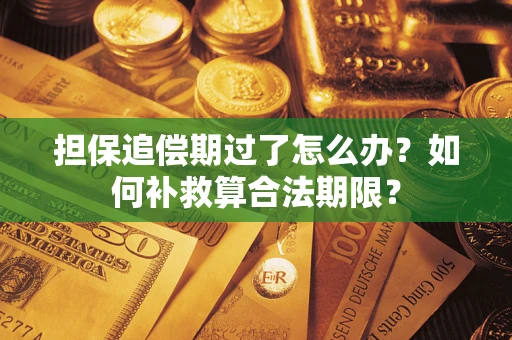 武汉担保追偿期过了怎么办？如何补救算合法期限？