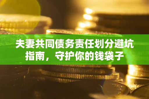 武汉夫妻共同债务责任划分避坑指南，守护你的钱袋子