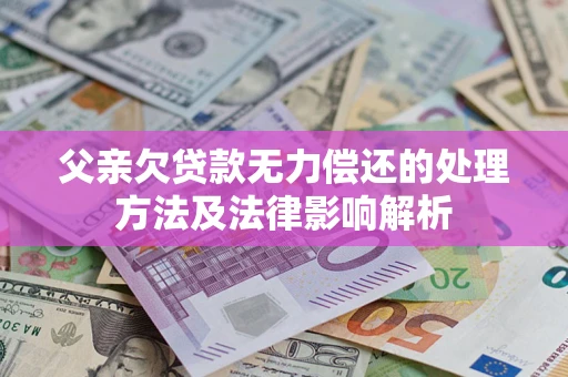 武汉父亲欠贷款无力偿还的处理方法及法律影响解析