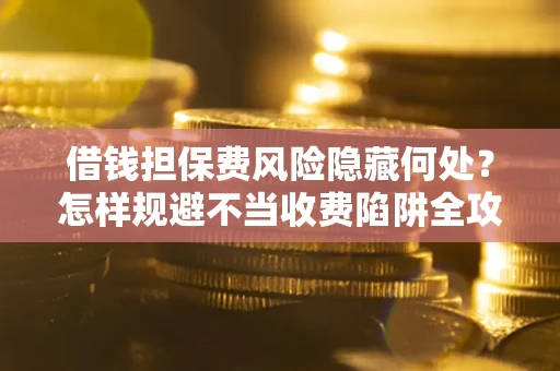 武汉借钱担保费风险隐藏何处？怎样规避不当收费陷阱全攻略！