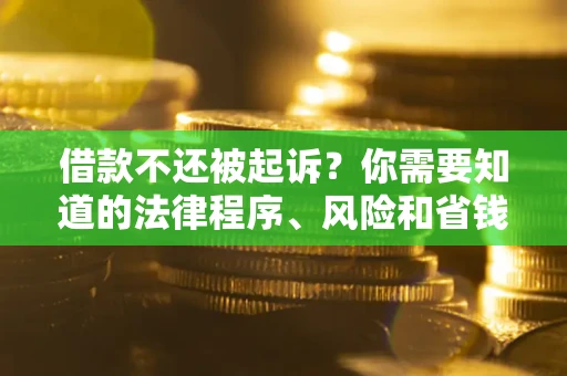 武汉借款不还被起诉？你需要知道的法律程序、风险和省钱技巧